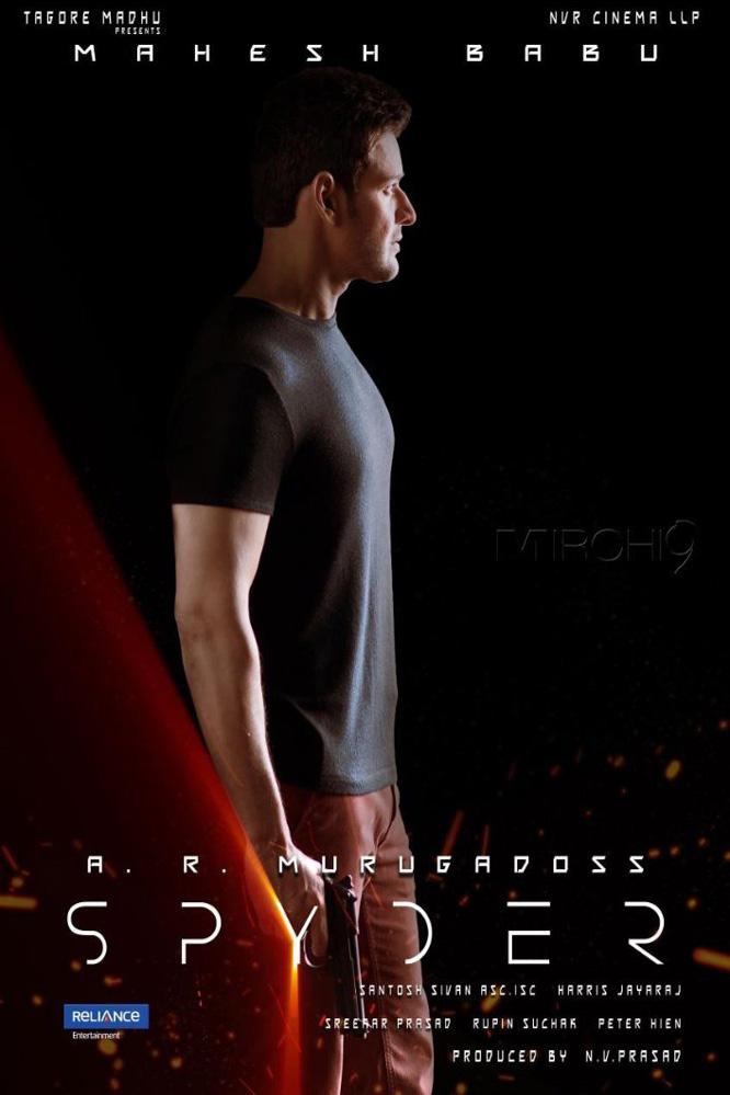 Spyder